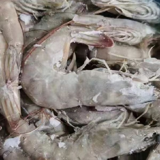 北京 虾国产活冻白虾