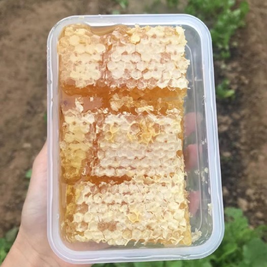 长葛市手工现切蜂巢蜜荆条巢蜜百花蜂巢蜜500克一盒盒装蜂巢蜜