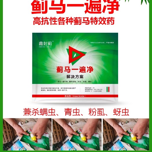 寿光市杀虫套餐 蓟马一遍净蓟马高抗性解决方案兼杀螨虫青虫白粉虱蚜虫