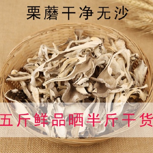 迁西县正宗迁西栗蘑