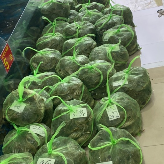 建湖县大闸蟹  九指蟹