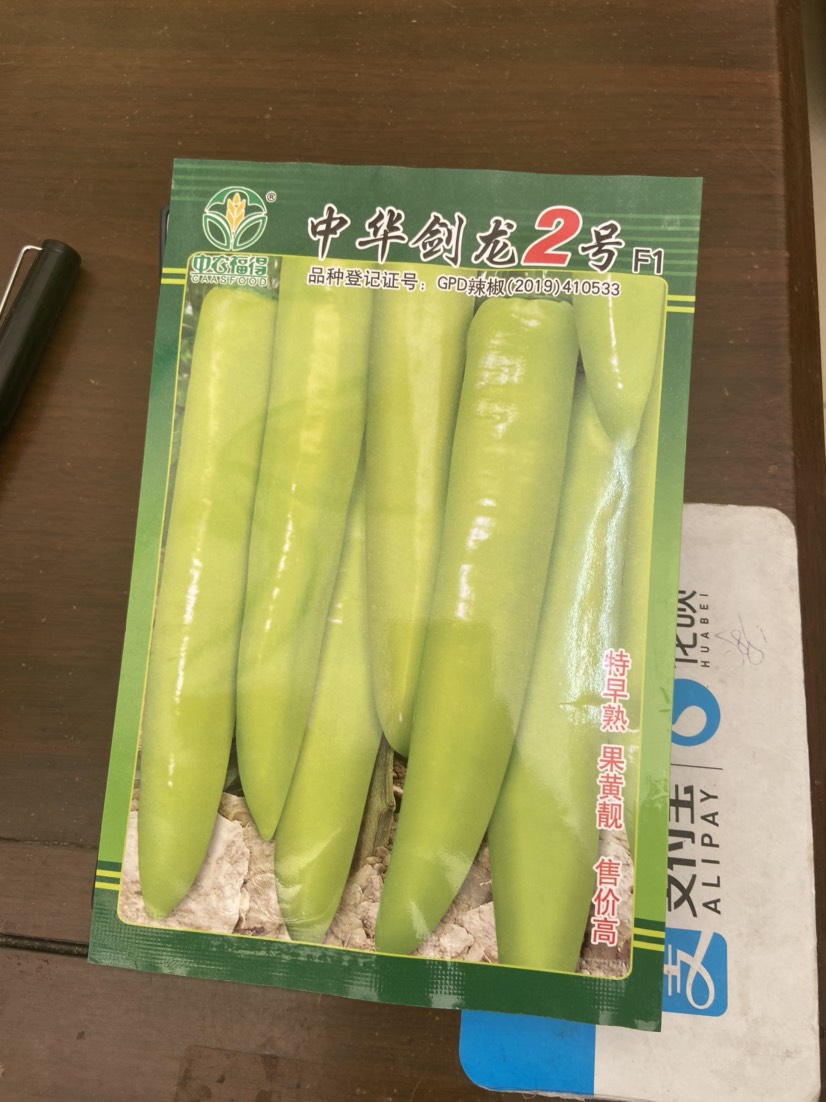 辣椒種子 中華劍龍二號(hào) 黃皮椒