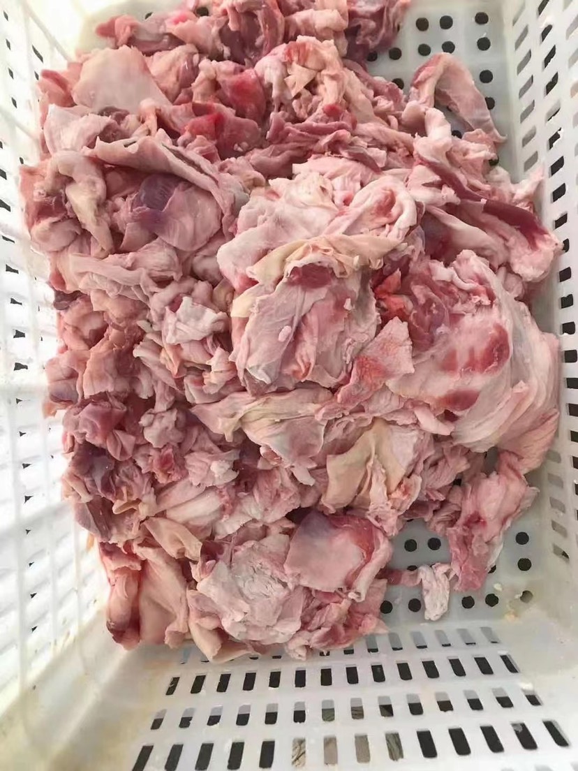 河间市牛筋皮 牛腩筋皮 牛薄筋 纯干精修 筋头巴脑原料 降低成本