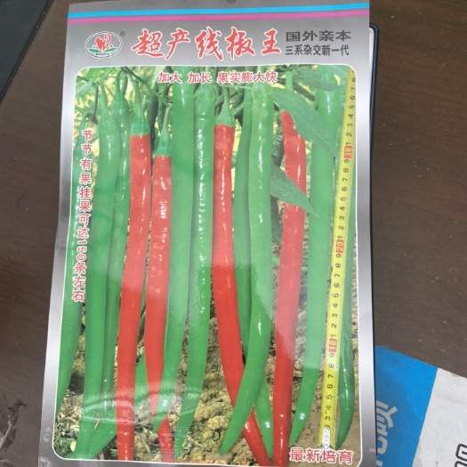 柳州线椒种子 超产线椒王