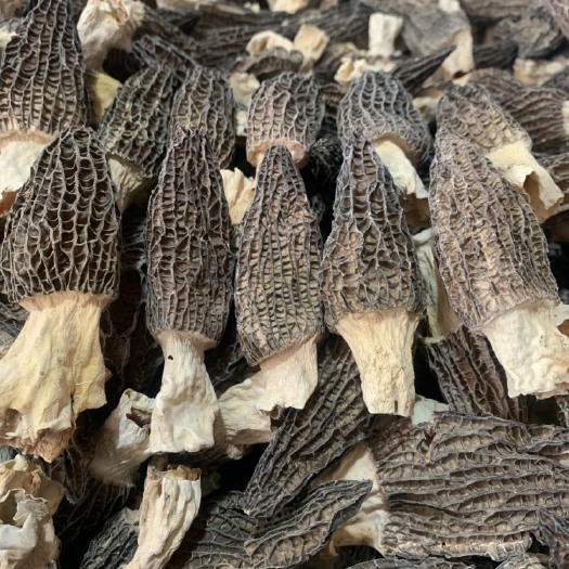 广州头茬羊肚菌干货 2021年优质食用菌批发 品质保证