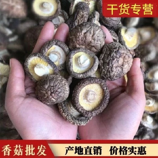 泌阳县光面菇  （有好货）香菇精选优质肉厚冬菇干香菇产地直销一手货