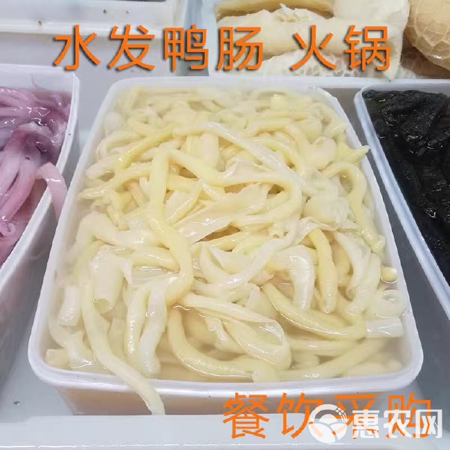 四川火锅食材新鲜水发鸭肠脆鸭肠免洗商用生鸭肠红色白色