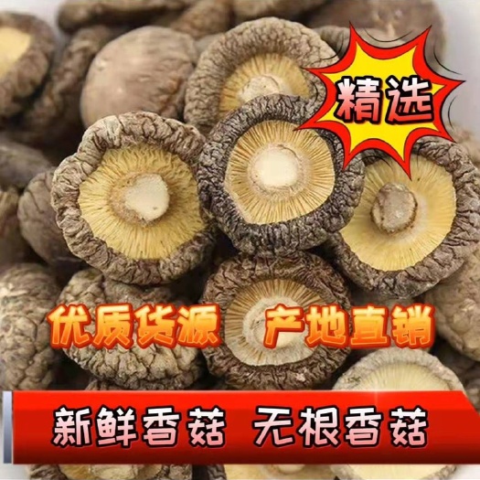 泌阳县香菇808  香飘中华，“菇”动天下【优质商家，产地直销，供你选择】