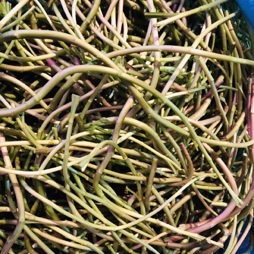 南昌去葉藜蒿，??江西特產，色澤艷麗，口齒留香