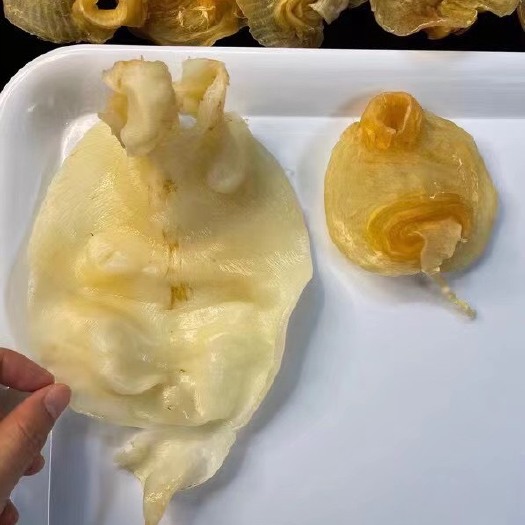 深圳花胶 16～18头赤嘴鳘鱼胶，这么厚肉，这么优秀的泡发原价三千多，