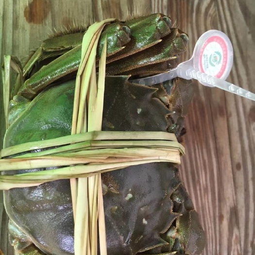 昆山市 阳澄湖镇大闸蟹批发价