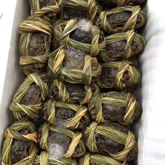 湖口县江西九江鄱阳大闸蟹礼盒产地直发，全国发货，死蟹包赔