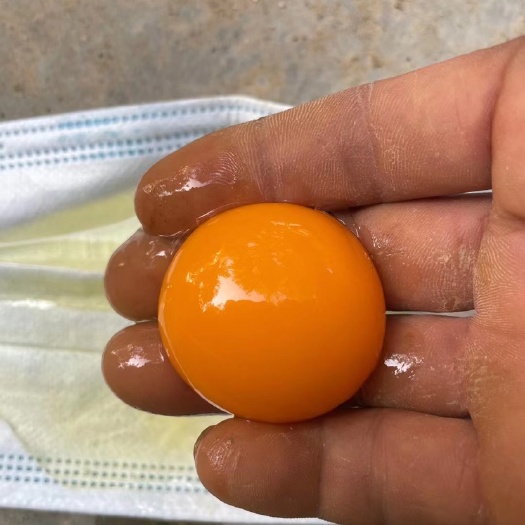 虞城县鸡蛋  双色粉蛋