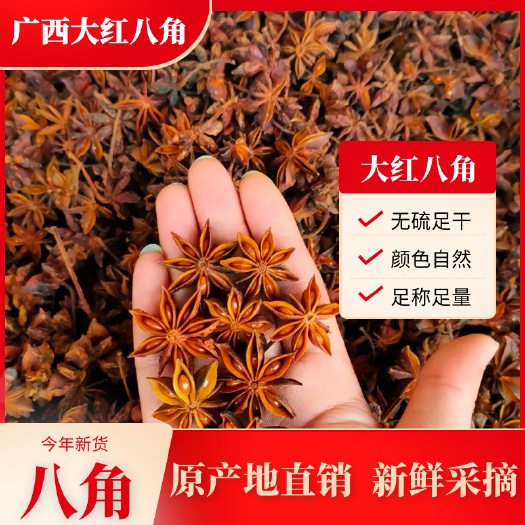 八角 广西大红八角 秋果八角干枝和春花八角原产地直销批发包邮
