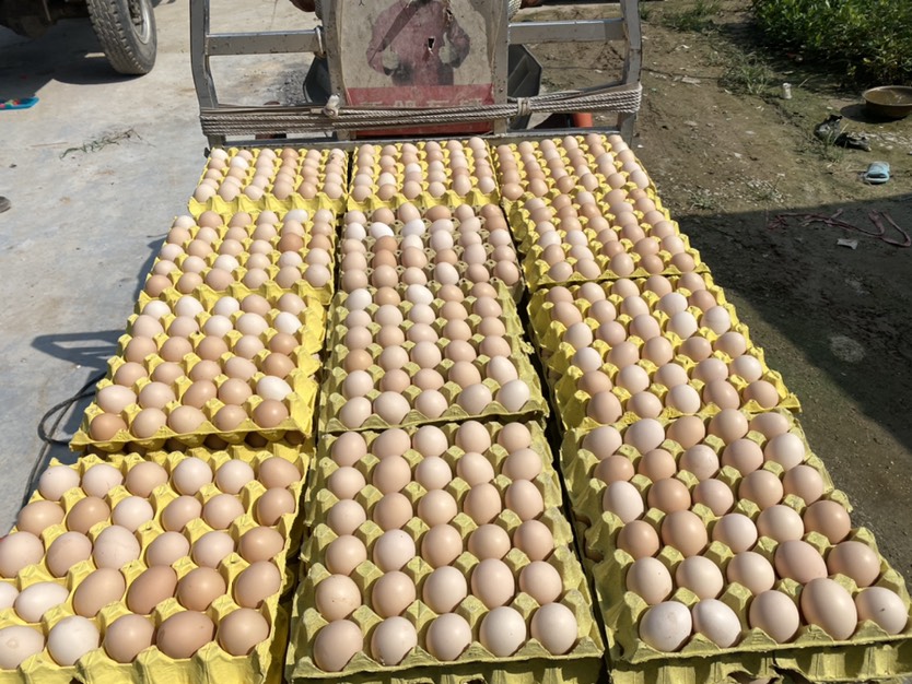 鸡蛋  双色粉蛋