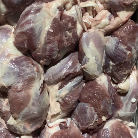 猪肉类  母猪腱子肉