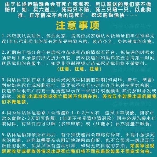 纯种活体白芦花鸡苗半斤白芦花鸡苗白芦花活体脱温鸡买6只送2只