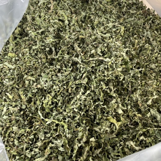 红薯梗  沂蒙山区干地瓜叶