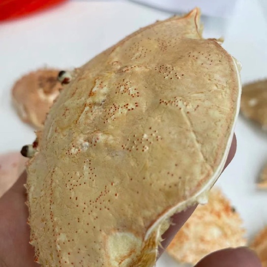 软壳蟹 蟹壳