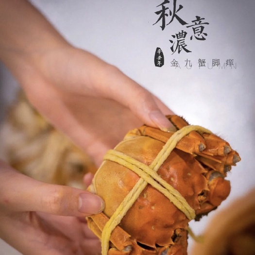 湖口县江西鄱阳大闸蟹 母蟹全规格 死蟹包赔