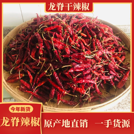 灵川县龙脊干辣椒 桂林特产 龙脊辣椒 龙胜高山红辣椒产地批发