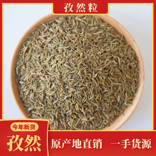 孜然 新疆孜然粒 孜然 孜然粉 烧烤料 香料产地直销批发