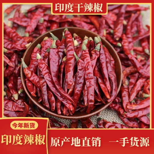 桂林印度干辣椒  印度辣椒 魔鬼干辣椒 切断磨粉细粉红辣椒 三樱