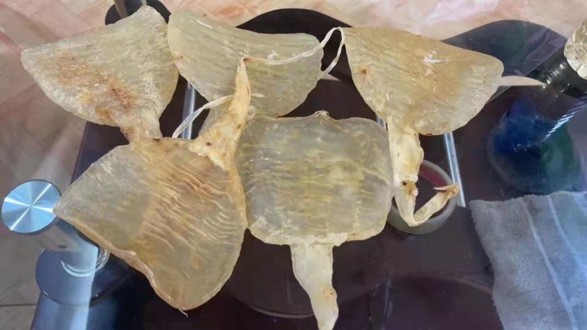 昆明鱼胶鱼胶，寻求合作伙伴