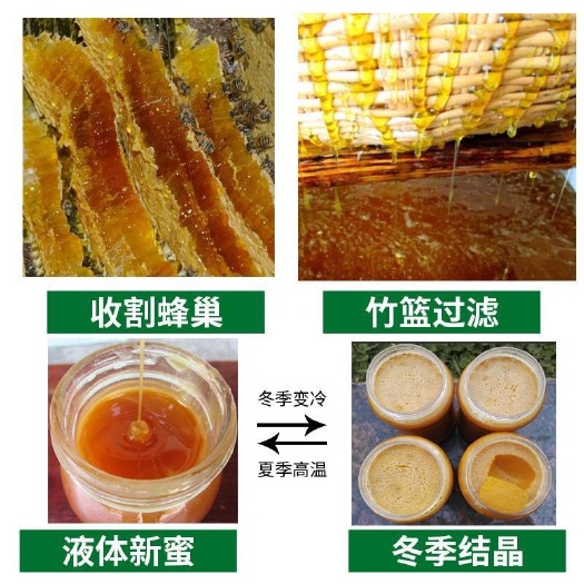 池州土蜂蜜 蜂蜜 自己养的蜂蜜 百花蜂蜜