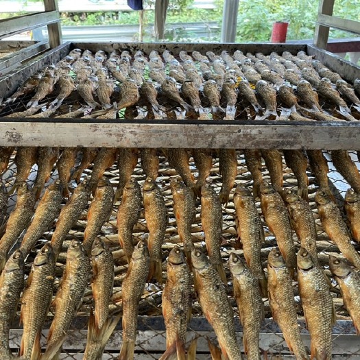 郴州麦穗鱼干  湖南特产鱼仔烟熏去苦胆手工鱼干火焙自产自销基地直发