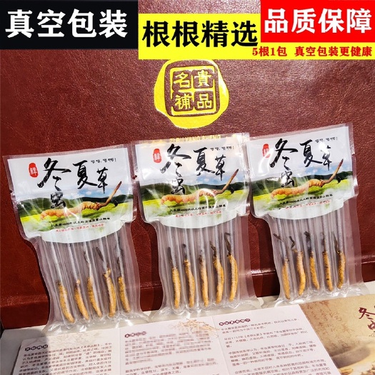 正品纯冬虫夏草高海拔冬夏虫草大虫草泡酒茶真空虫草1包5根