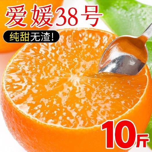 四川爱媛橙果冻橙当季新鲜水果
