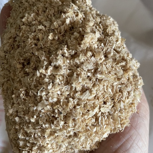 正定县麦麸 金沙河大片优惠一车只限今天明天