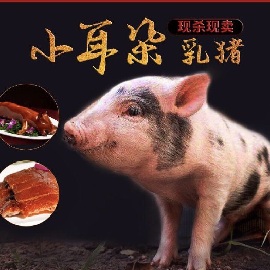佛山整头猪  乳猪花猪土白
