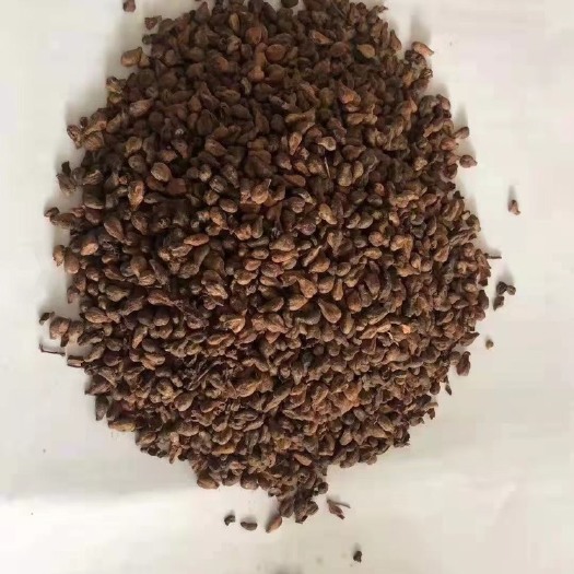 菏泽糟渣类饲料葡萄籽 葡萄籽