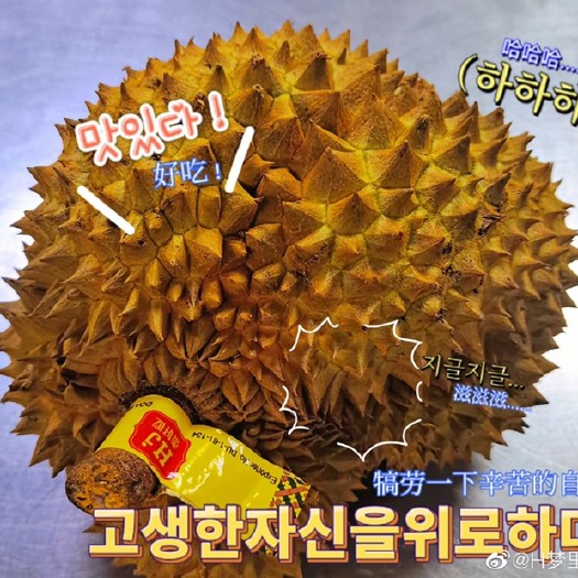 福州金枕榴莲  榴莲