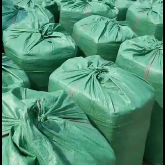 灵璧县玉米青贮 牛羊草料，全株青储、裸株青储