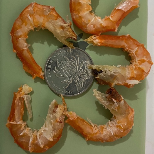 青岛 金钩大海米