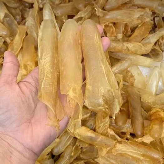 深圳 黄花咸水筒100头一斤¥518元包邮，咸水海域鲈鱼的花胶，比