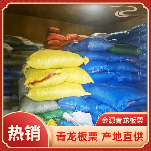青龙县【精选】河北青龙早期3113板栗