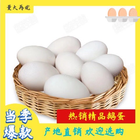 连云港【包邮-60枚土鹅蛋】批发60枚农家自养非双黄蛋 土鹅蛋