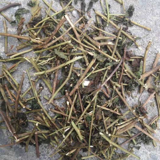 遵义千里光 纯纯的农民风情 欢迎大家