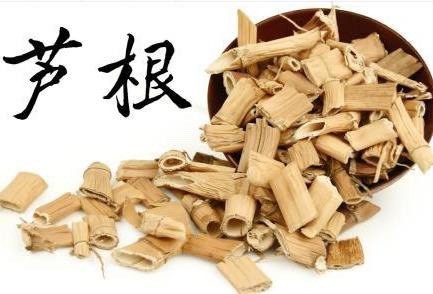 【热销】中药材芦根食药两用一公斤包邮