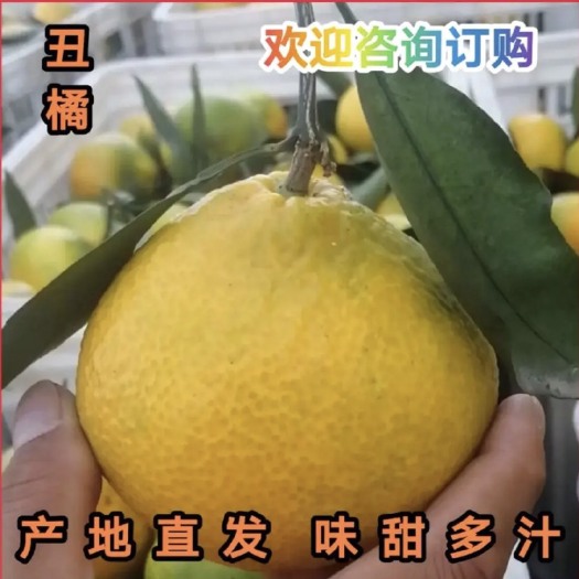 宜都市不知火 果品批发零售