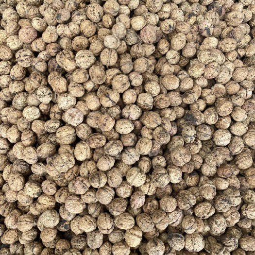 南涧县薄皮核桃 又一批好货已准备就绪，个头都是33mm以上