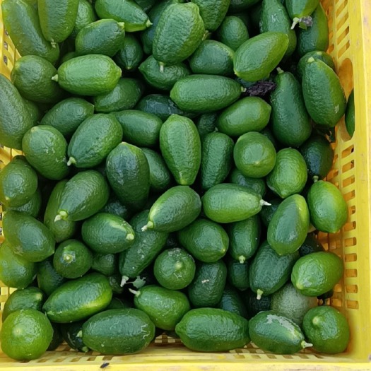 长沙 香水柠檬