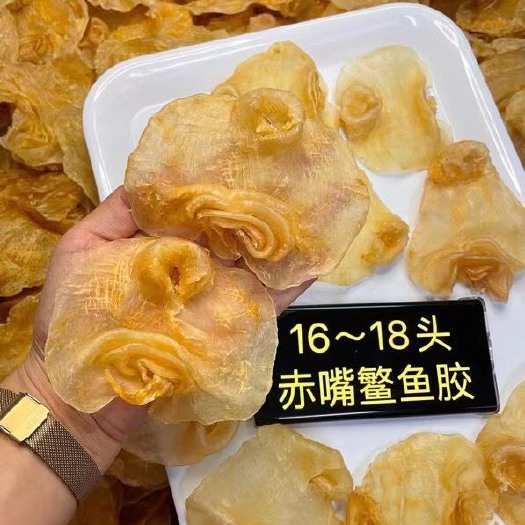 深圳花胶 16头～18头赤嘴鳘鱼胶¥1580元一斤，原价3580