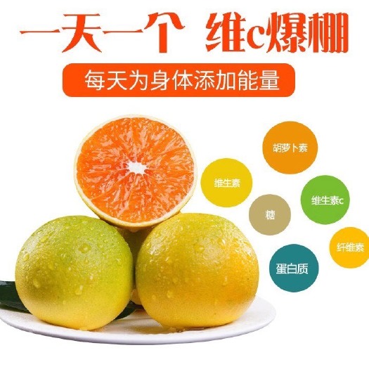 秭归县九月红脐橙  现摘秭归九月红新鲜脐橙健康孕妇水果