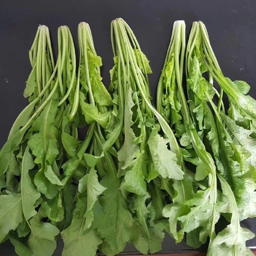 济南厂家直销 速冻荠菜 无黄叶。质量好 得菜率高  量大优惠