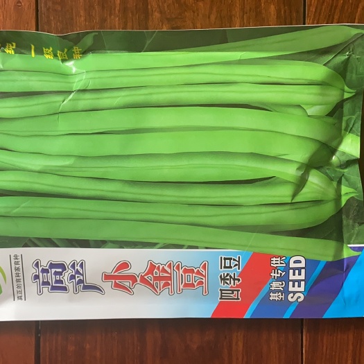 通海县四季豆种子  云南  高产小金豆   紫花四季豆